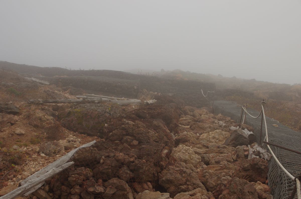 f:id:kakuten:20211012210047j:plain