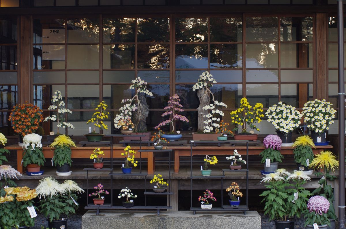 f:id:kakuten:20211106210959j:plain