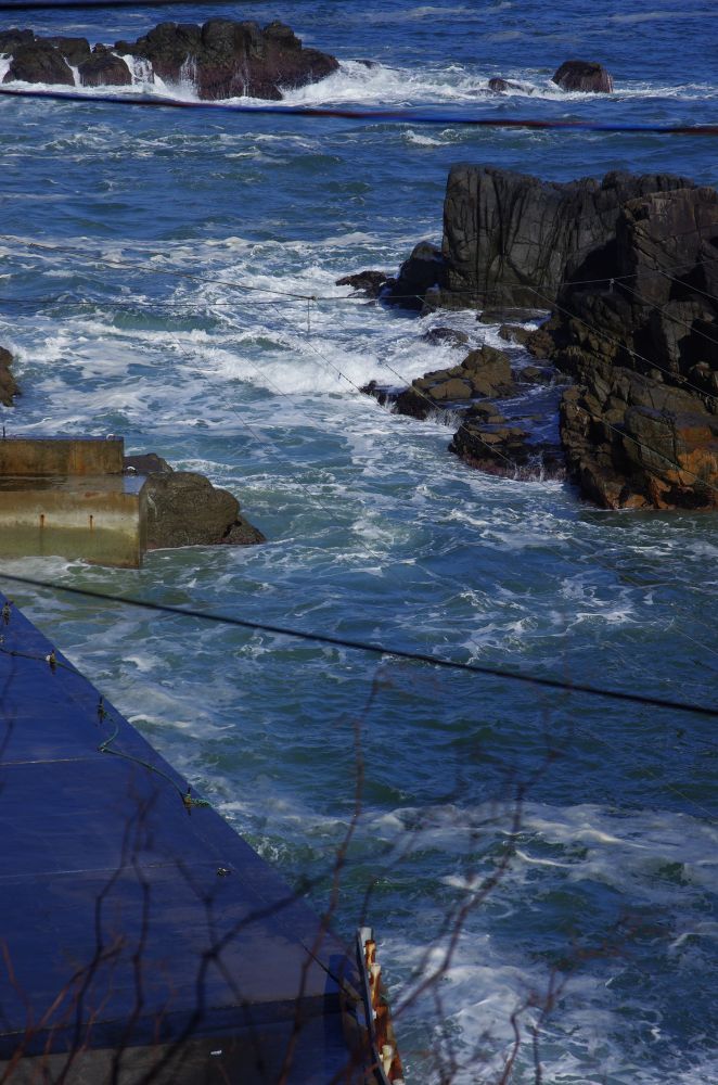 f:id:kakuten:20211107181423j:plain