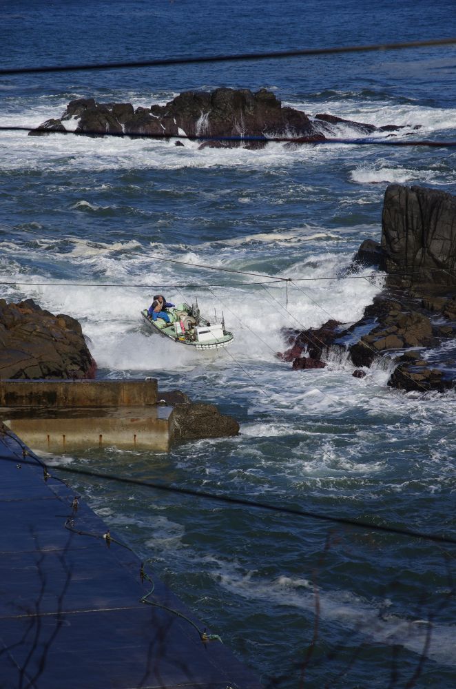 f:id:kakuten:20211107181429j:plain