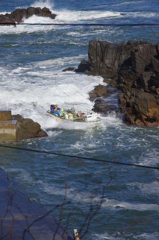 f:id:kakuten:20211107181433j:plain