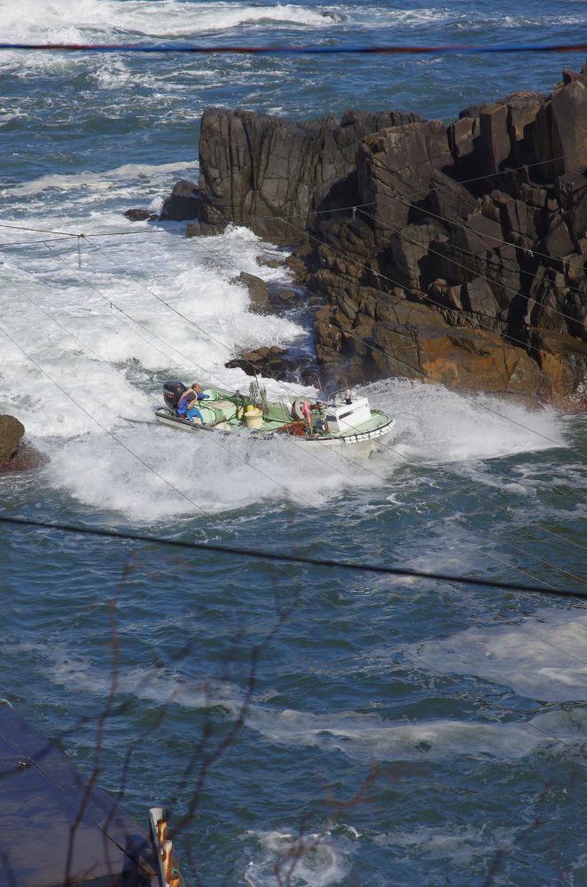 f:id:kakuten:20211107181437j:plain