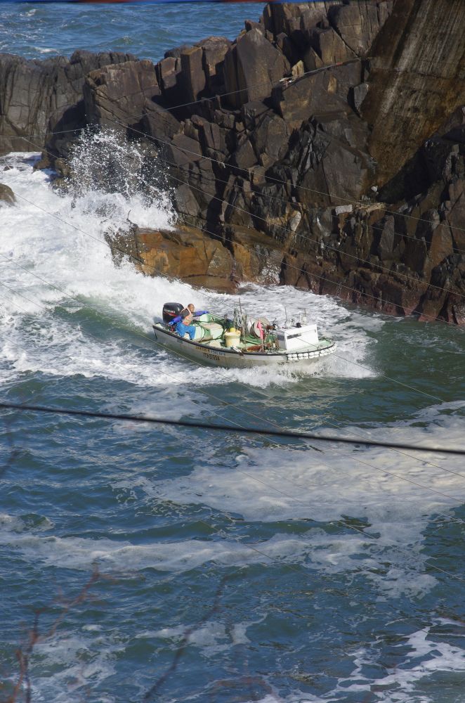 f:id:kakuten:20211107181440j:plain