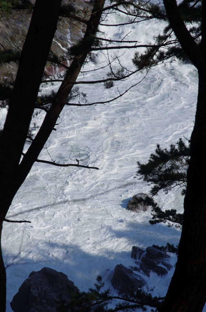 f:id:kakuten:20211107181444j:plain