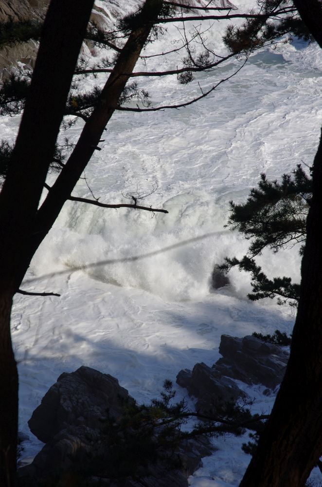 f:id:kakuten:20211107182246j:plain