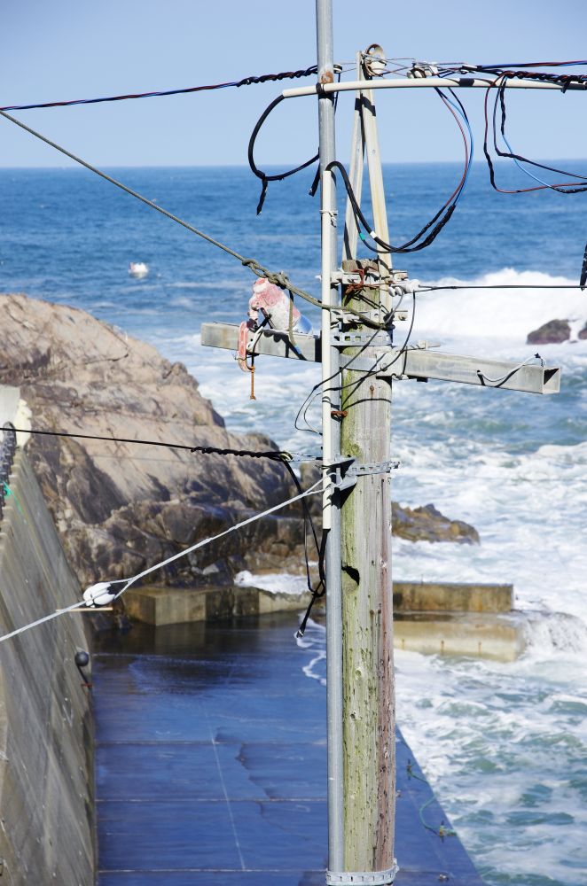 f:id:kakuten:20211107182934j:plain