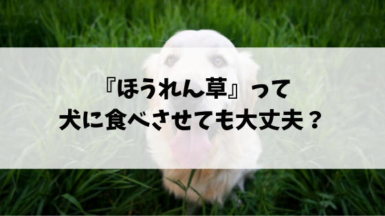 f:id:kakuyasusim2018:20190326013804p:plain