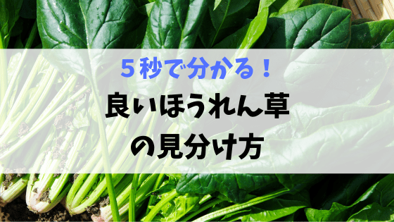 ほうれん草の画像