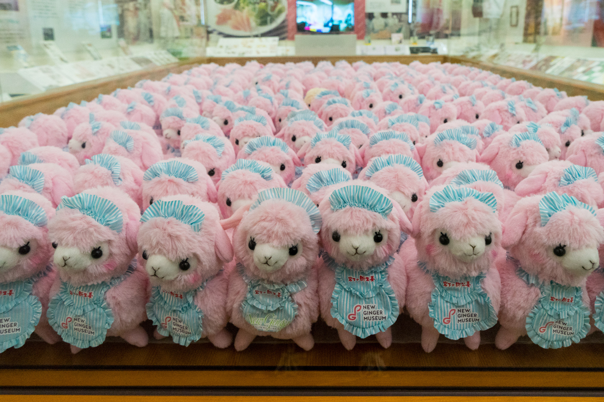 f:id:kalculation:20160116141116j:plain f:id:kalculation:20160116141116j:plain