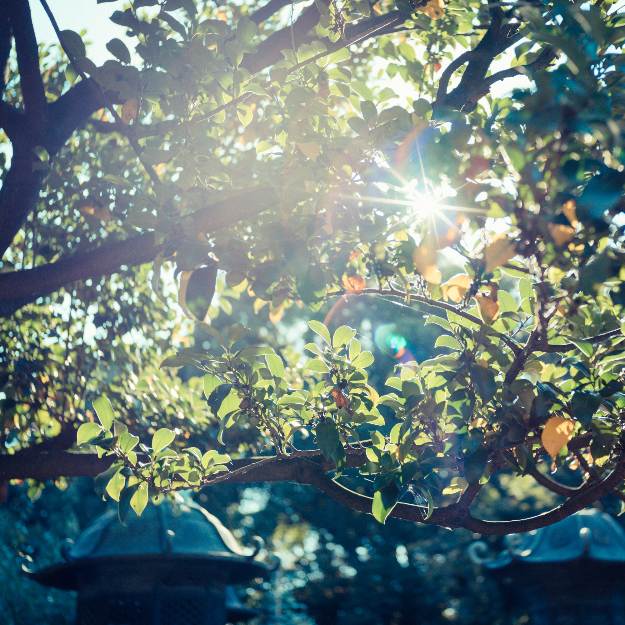 f:id:kalculation:20161103130140j:plain