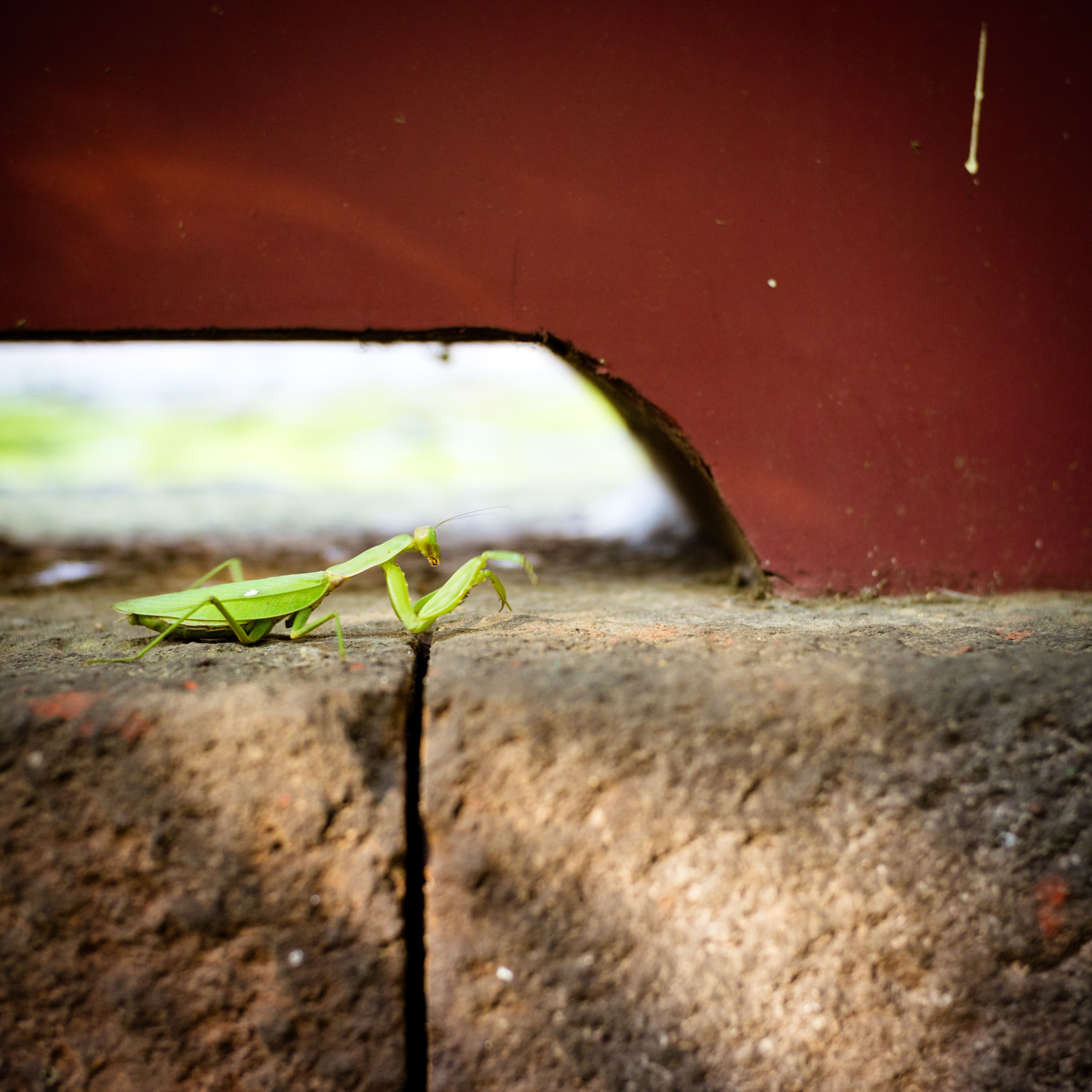 f:id:kalculation:20161103133343j:plain