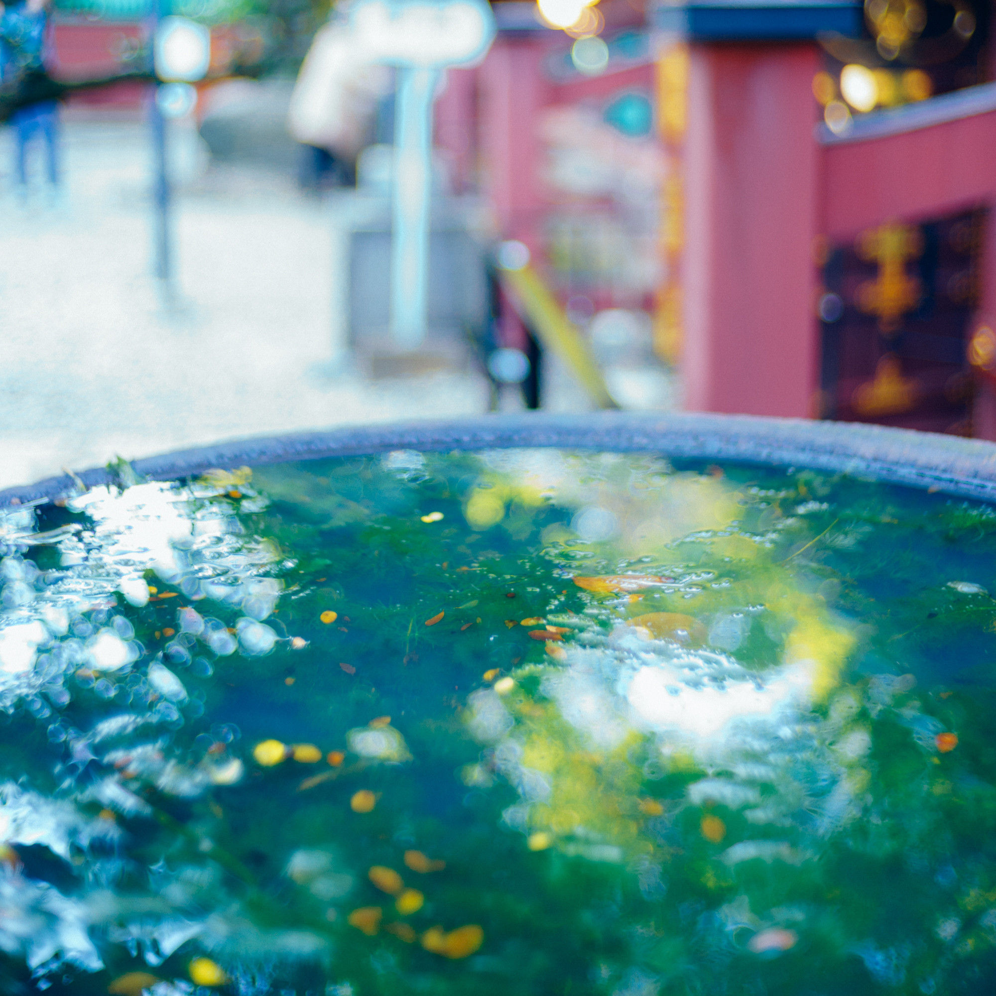 f:id:kalculation:20161103140750j:plain