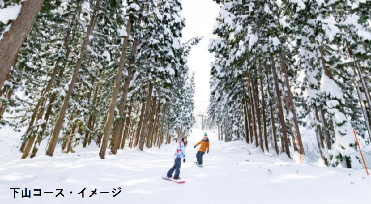 f:id:kaleidoscope-9211:20191111233408p:plain f:id:kaleidoscope-9211:20191111233408p:plain