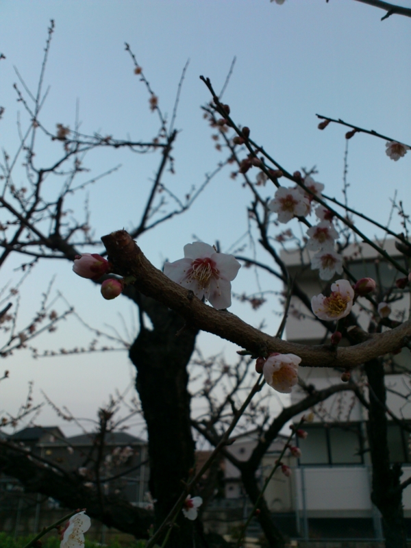 20130401180823