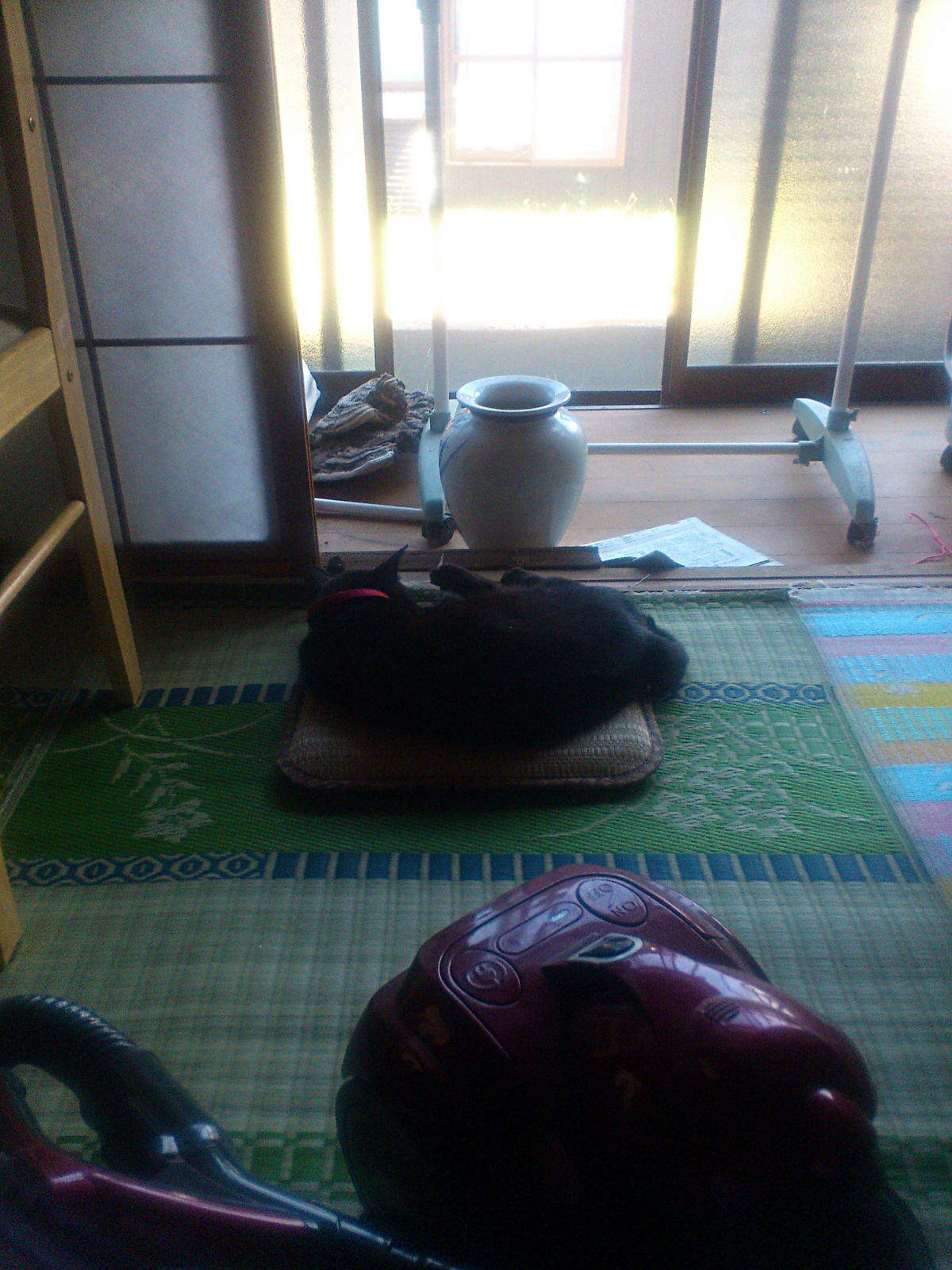f:id:kalikan:20140822102626j:image:w400