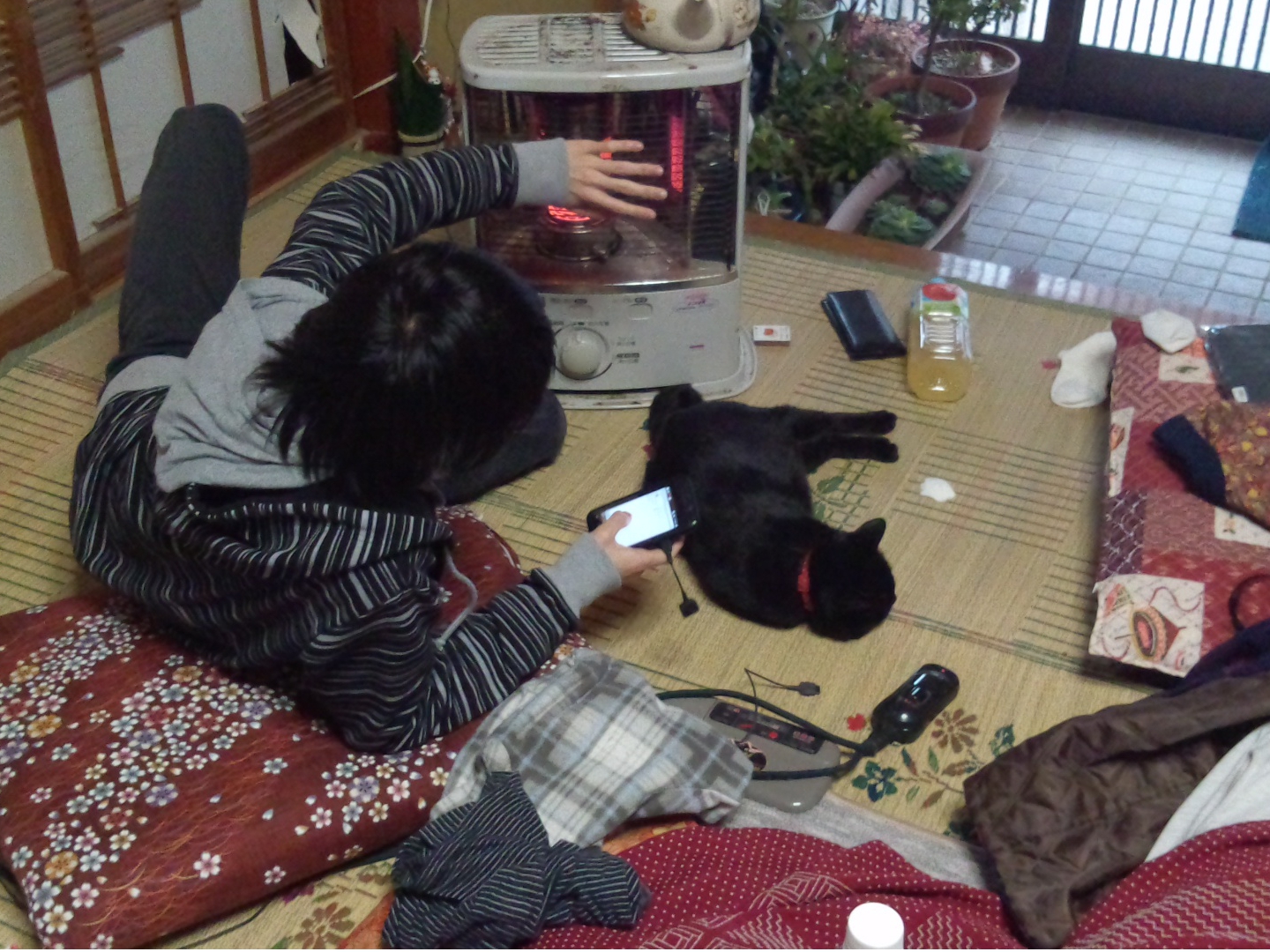 f:id:kalikan:20161231032501j:plain:w480 f:id:kalikan:20161231032501j:plain:w480