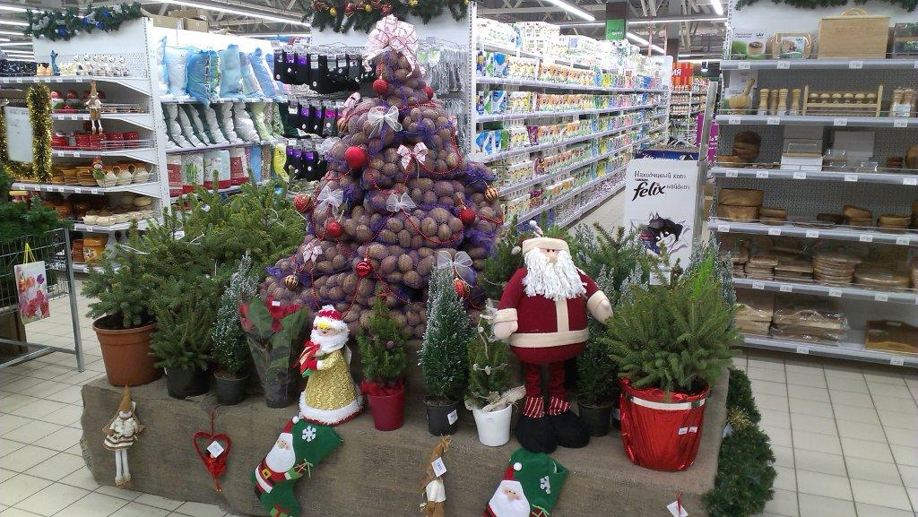 f:id:kalinowskaha:20170107222638p:plain f:id:kalinowskaha:20170107222638p:plain