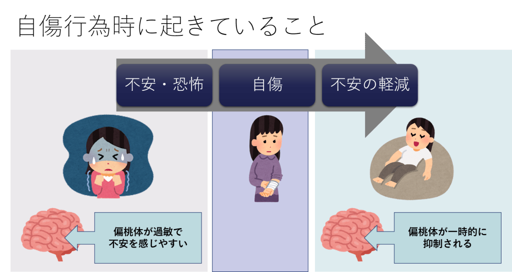 f:id:kaltochan:20220211101208p:plain