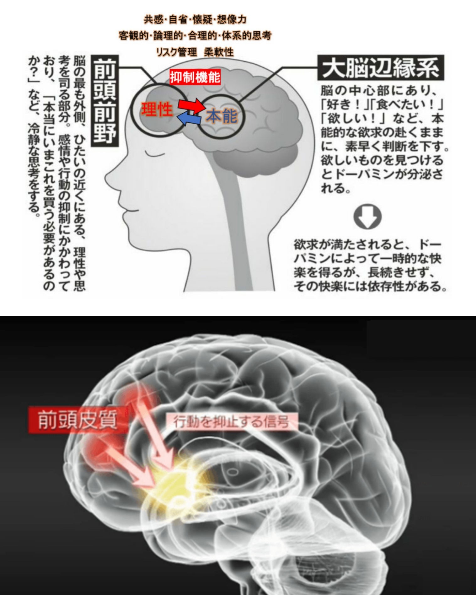 f:id:kaltochan:20221128181407j:image