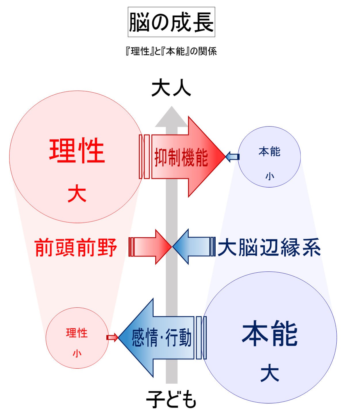 f:id:kaltochan:20221128182110j:image