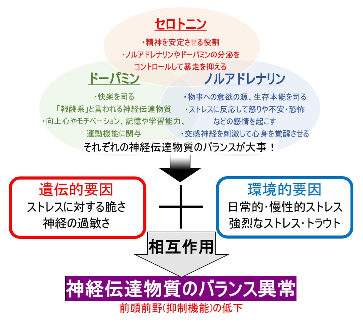 f:id:kaltochan:20221201134716j:image