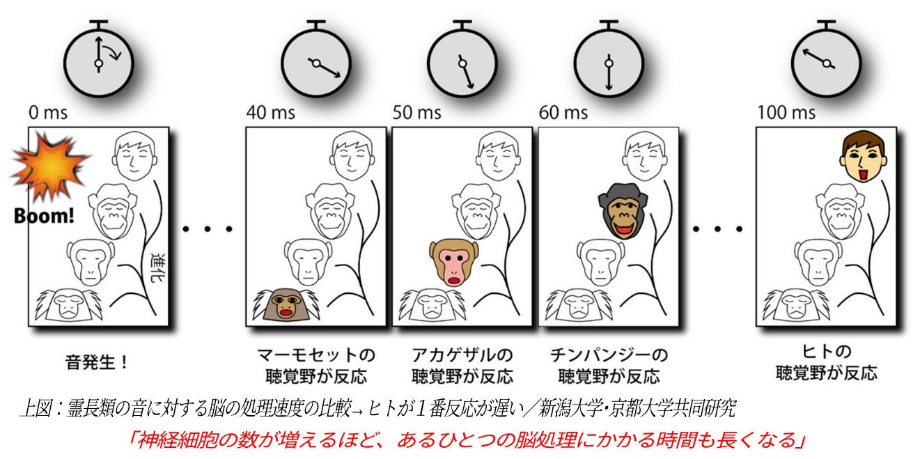 f:id:kaltochan:20221201161111j:image