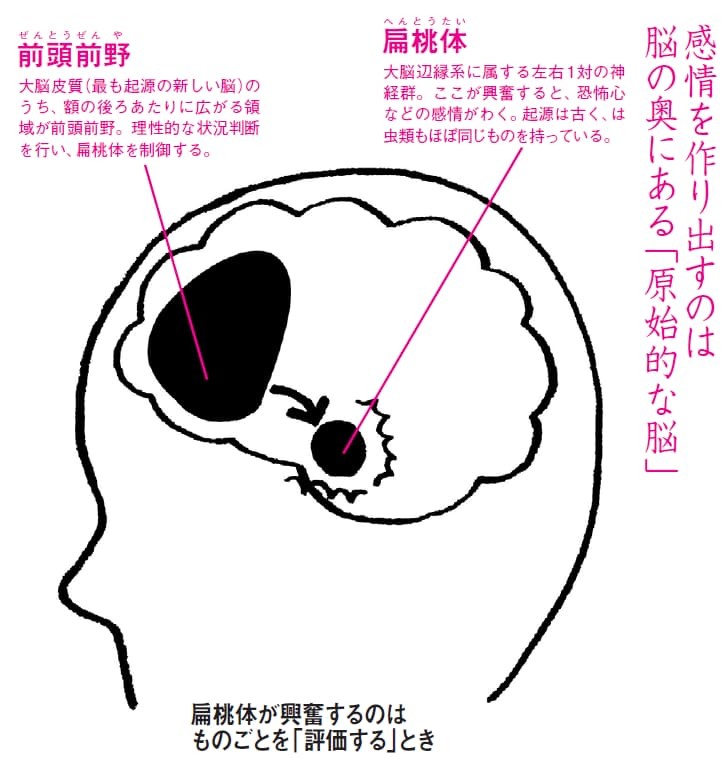 f:id:kaltochan:20221205070710j:image