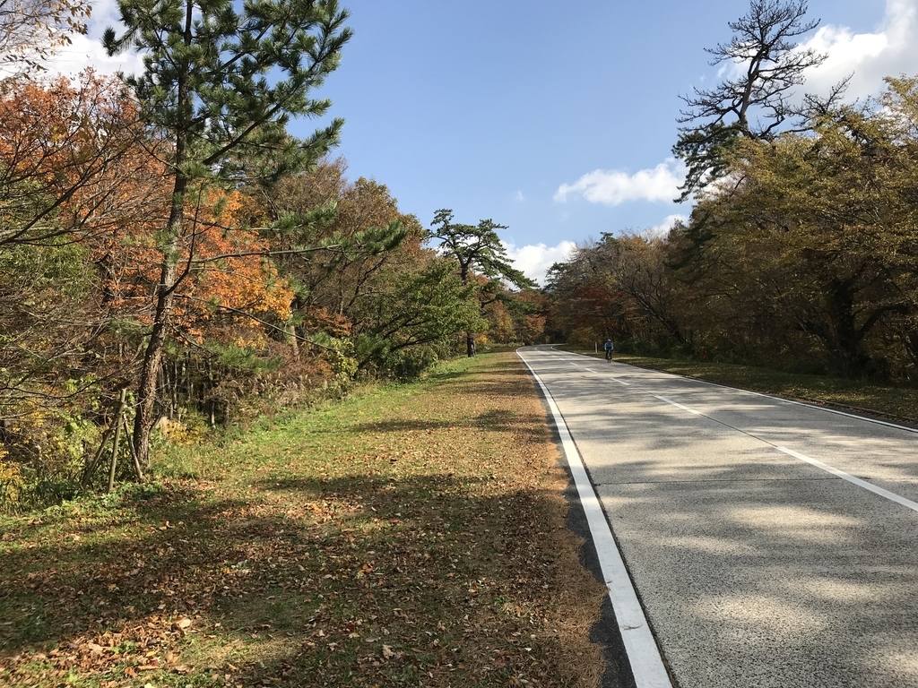 f:id:kalubo:20181111120855j:plain f:id:kalubo:20181111120855j:plain