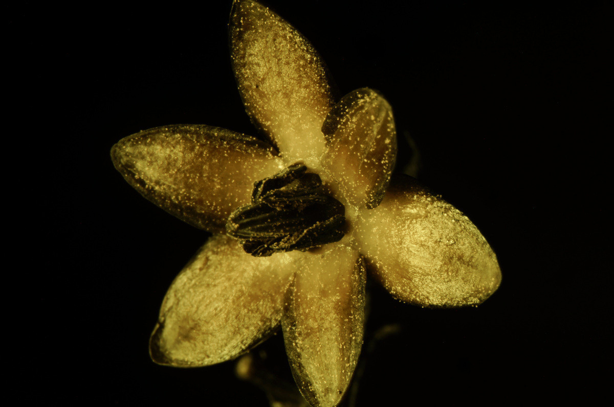 f:id:kalura:20210704185122j:plain