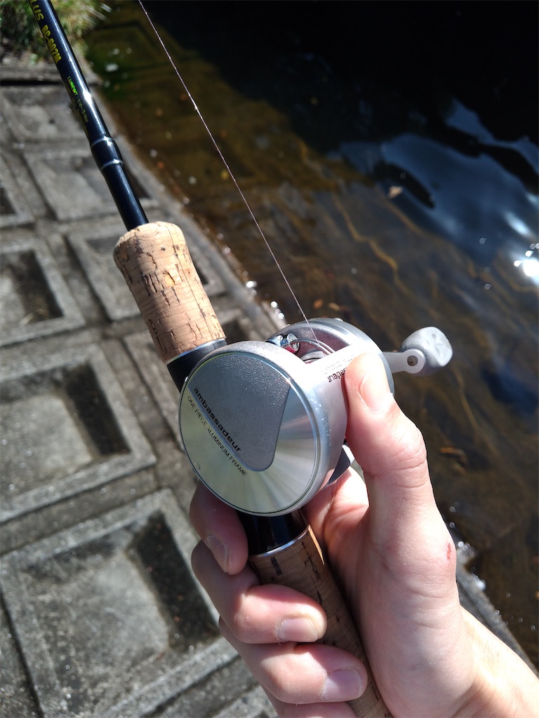 今度はシルバーマックスsm3600cを - Sky CleAr