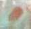 f:id:kamabocoblog:20220125142404j:plain