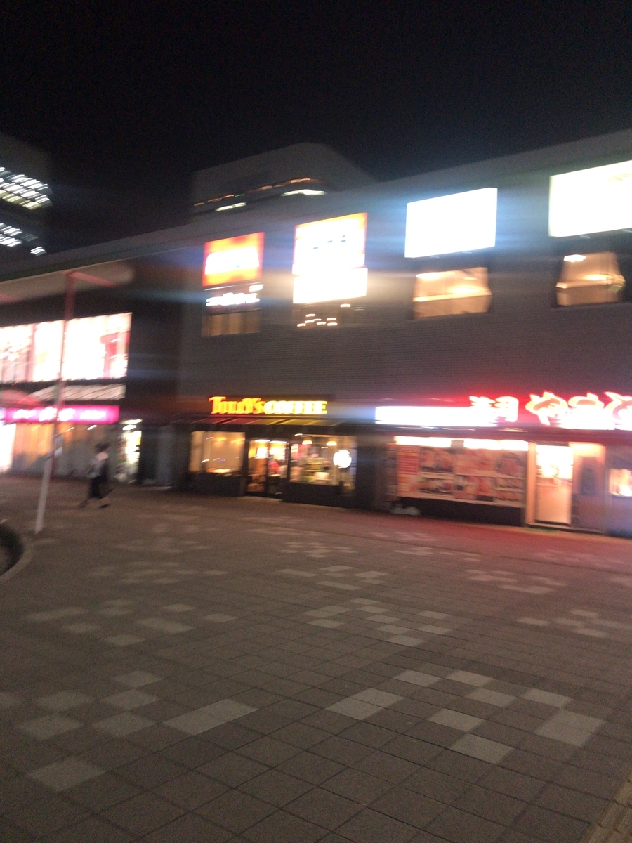 f:id:kamaboko2983:20190528222342j:plain