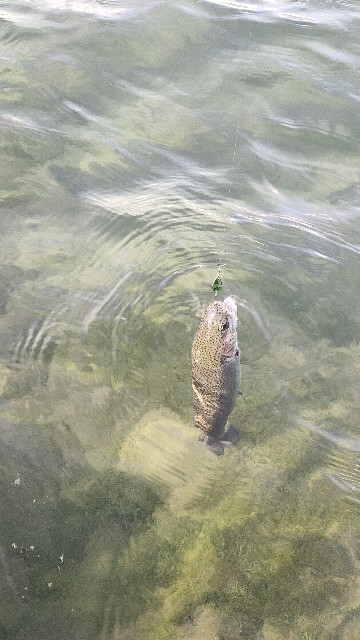 f:id:kamadou:20241206203142j:image