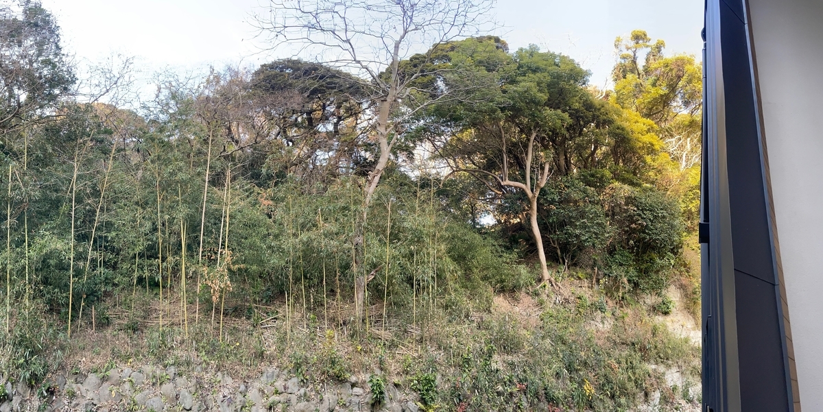 f:id:kamakura-life:20210110231937j:plain