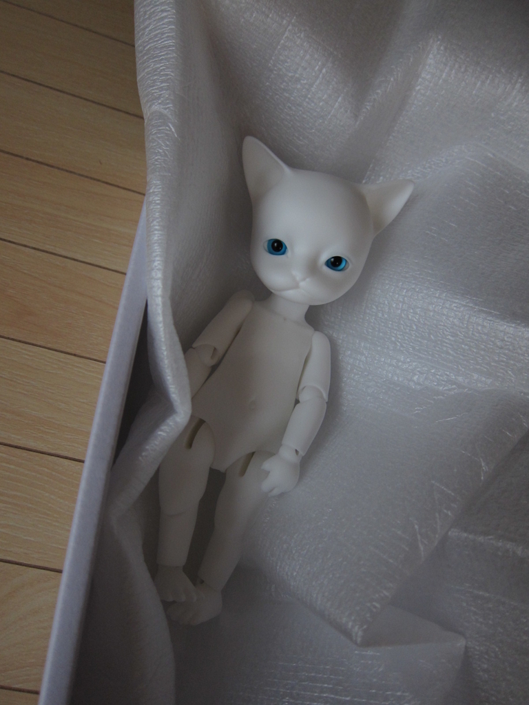 PIPOS 節約 DOLL BAHA 眠りの目の猫の子 PIPOS DOLL BAHA 眠りの目の猫の子