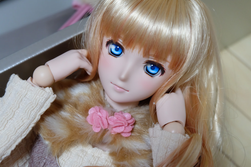 DD シェリル購入記録 - 紙と皿のあいだ