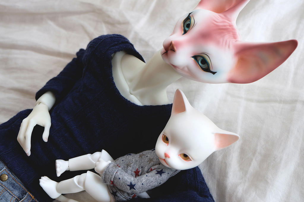 f:id:kamanobe:20190123141330j:plain