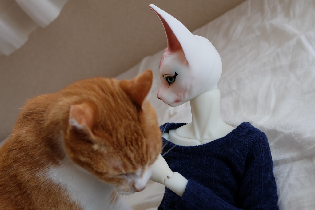 f:id:kamanobe:20190123141335j:plain