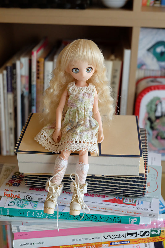 f:id:kamanobe:20190123194019j:plain