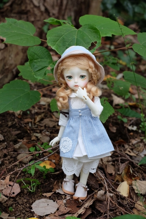 f:id:kamanobe:20210830170030j:plain