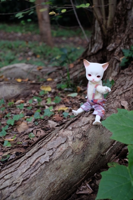 f:id:kamanobe:20210830170040j:plain