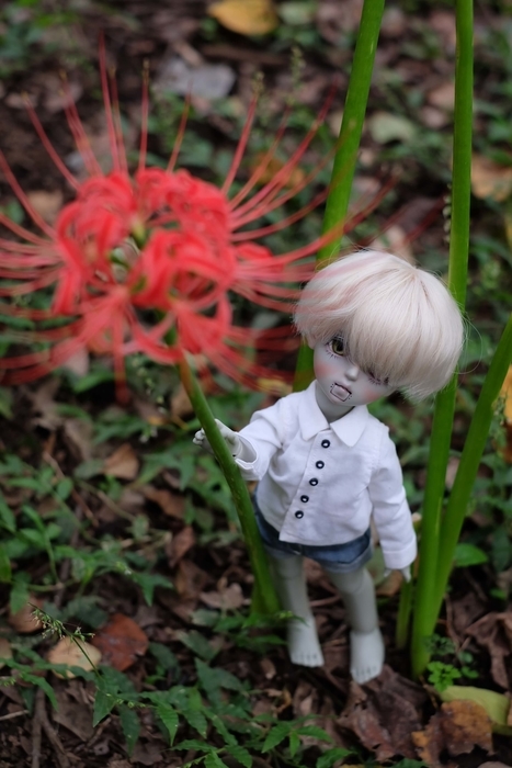 f:id:kamanobe:20210830170048j:plain