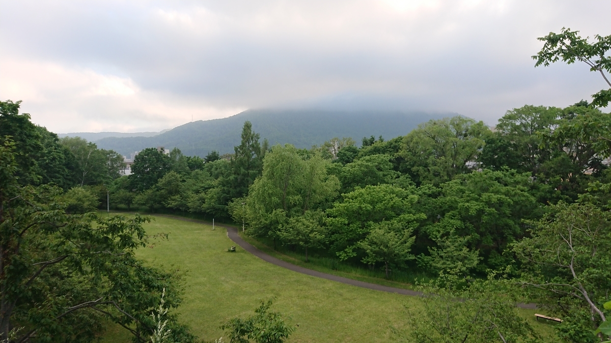 f:id:kamapenland:20210608202027j:plain
