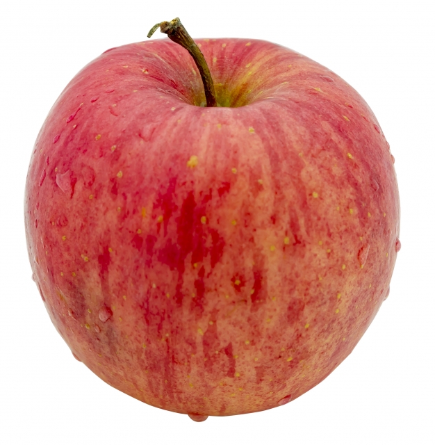 f:id:kamaquiche:20190710000912j:plain