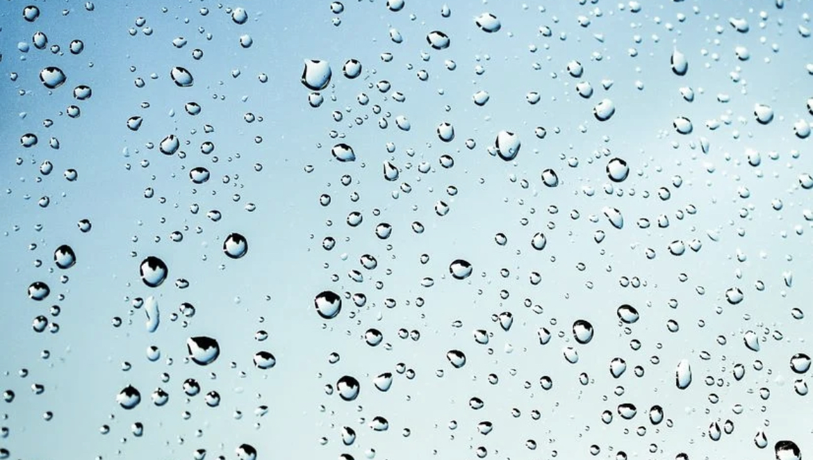 f:id:kamas:20220305042648j:plain