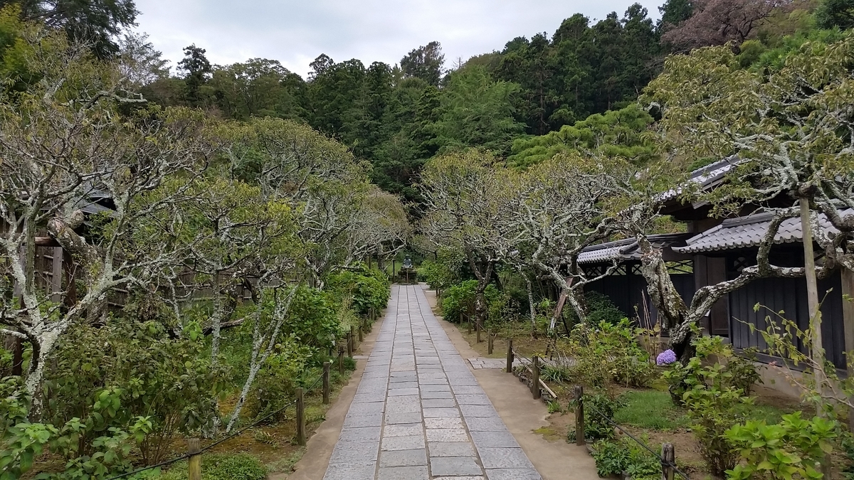 f:id:kamasam:20191002221829j:plain f:id:kamasam:20191002221829j:plain