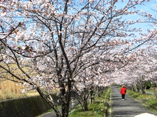 f:id:kamasyakyo:20090330104630j:image