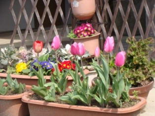f:id:kamasyakyo:20100330102500j:image