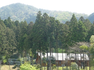 f:id:kamasyakyo:20100429141648j:image