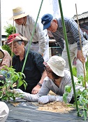 f:id:kamasyakyo:20110516104734j:image